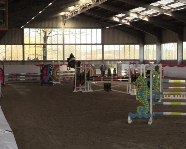 Reitturnier Greven 2022