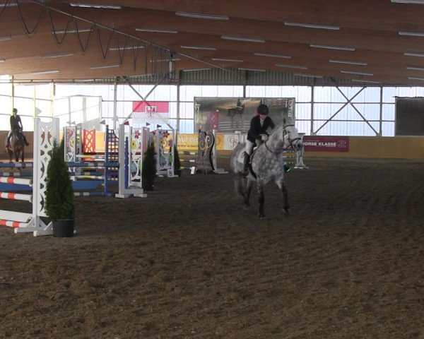 Reitturnier Pausin 2022