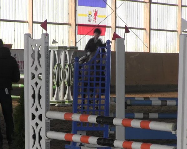 Reitturnier Pausin 2022