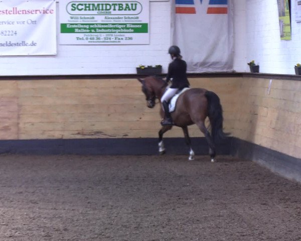 Reitturnier Heide 2022