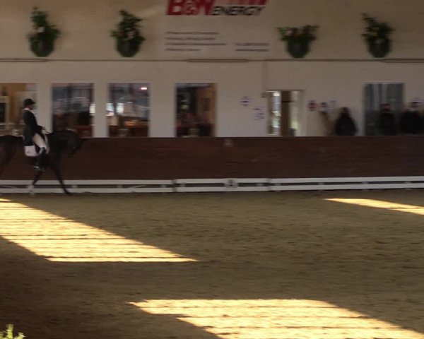 Reitturnier Coesfeld-Lette 2022