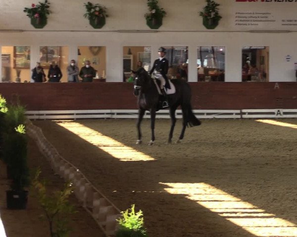 Reitturnier Coesfeld-Lette 2022