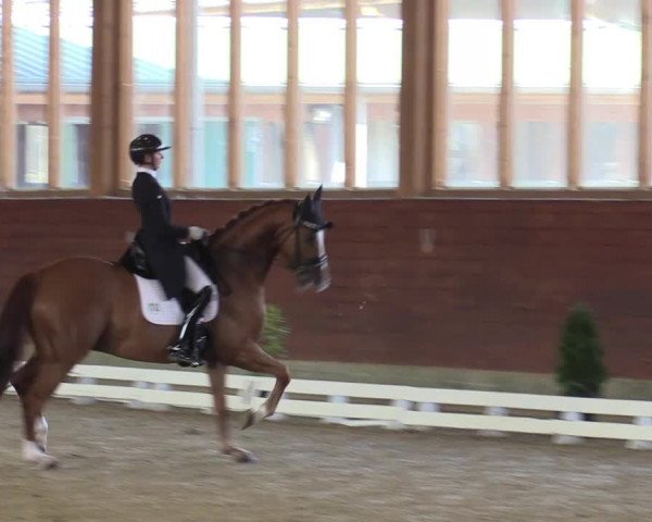 Reitturnier Coesfeld-Lette 2022