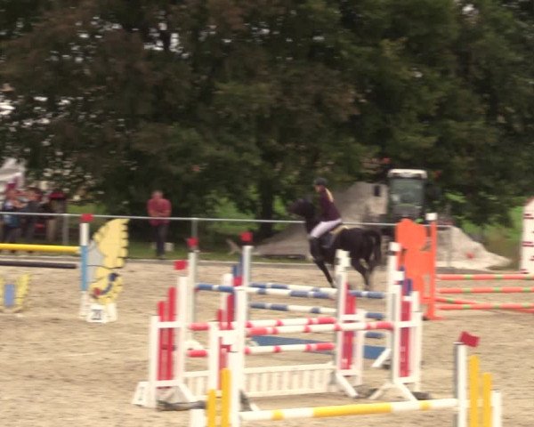 Springreitturnier Hohburg 2021
