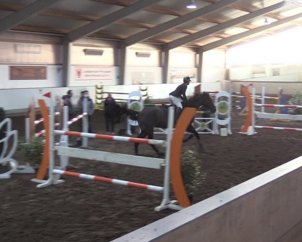 Reitturnier Münchehofe 2022