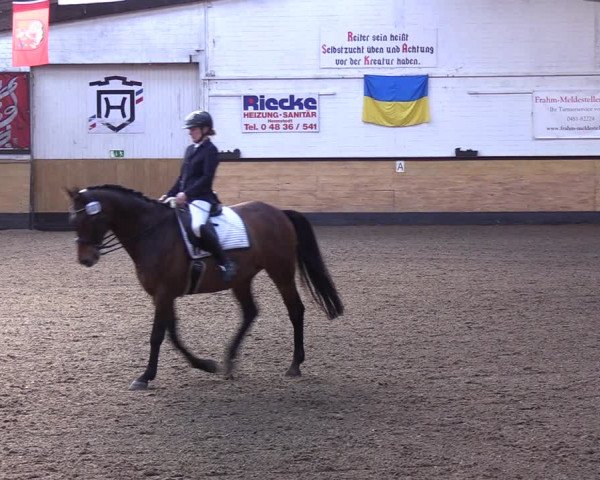 Reitturnier Heide 2022