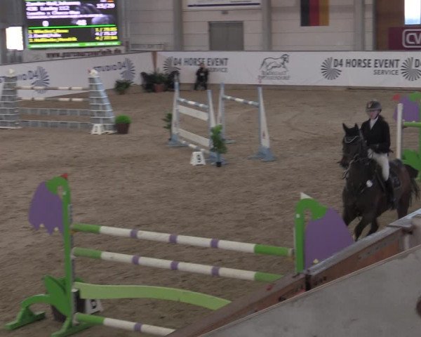 Reitturnier Prussendorf 2022