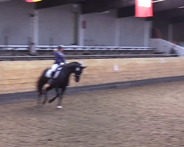 Reitturnier Heide 2022