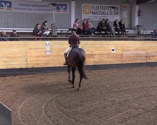 Reitturnier Heide 2022