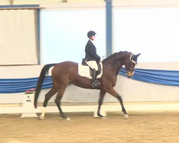 Reitturnier Buchs 2022