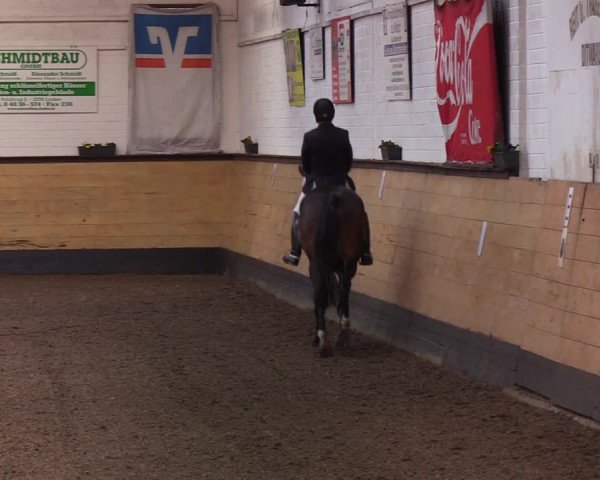 Reitturnier Heide 2022
