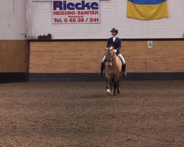 Reitturnier Heide 2022
