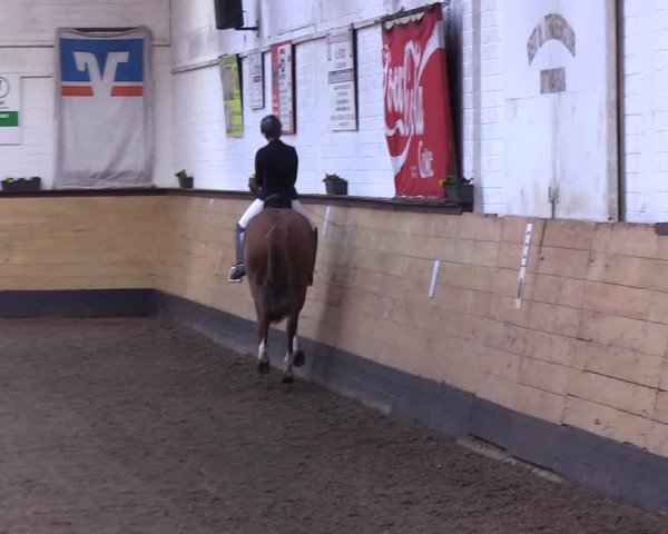Reitturnier Heide 2022