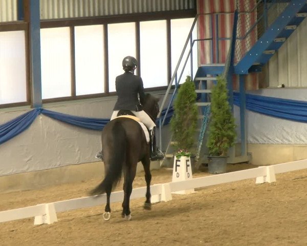 Reitturnier Buchs 2022