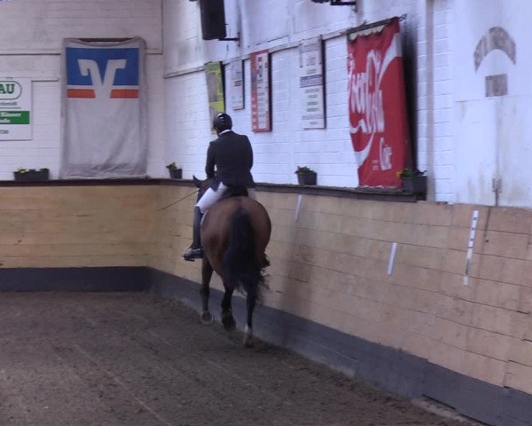 Reitturnier Heide 2022