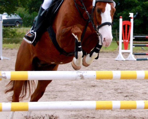 horse Sioux (Oldenburg, 1994, from Sion)
