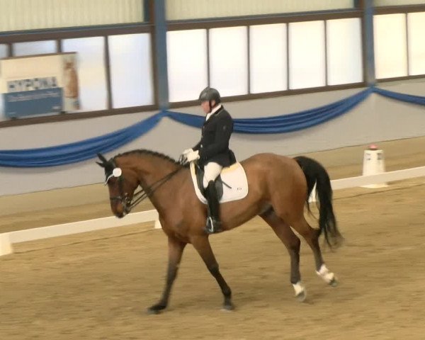 Reitturnier Buchs 2022