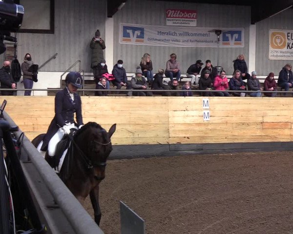 Reitturnier Heide 2022