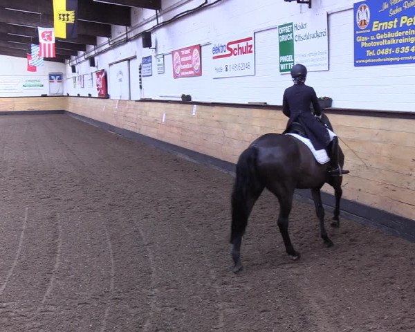 Reitturnier Heide 2022