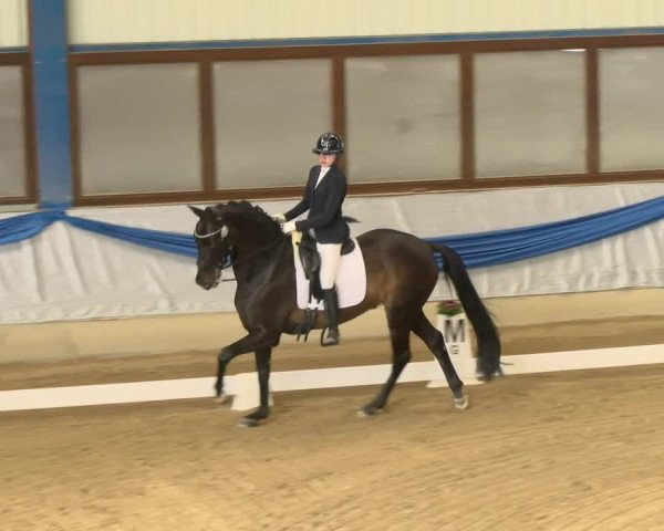 Reitturnier Buchs 2022