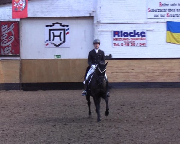 Reitturnier Heide 2022
