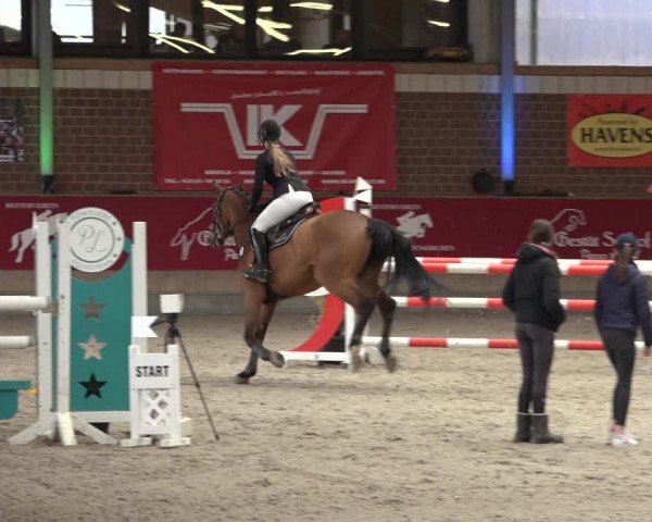 Reitturnier Kaldenkirchen - Gestüt Seehof 2022