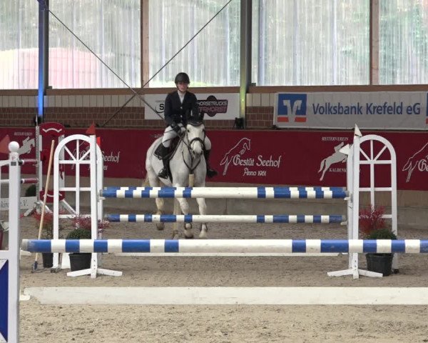 Reitturnier Kaldenkirchen - Gestüt Seehof 2022