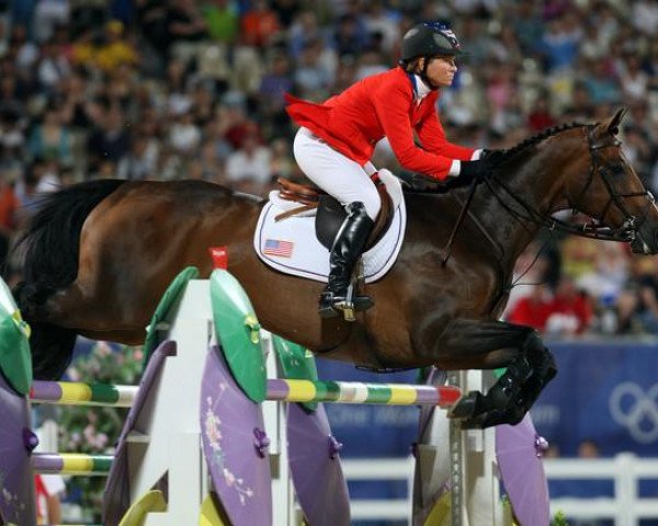 jumper Authentic (KWPN (Royal Dutch Sporthorse), 1995, from Guidam)