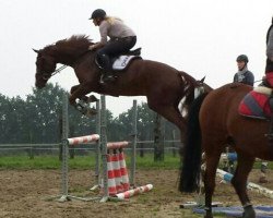 jumper Cassius Clay 30 (Hanoverian, 2010, from Chivas)