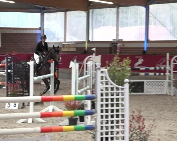 Reitturnier Kaldenkirchen - Gestüt Seehof 2022