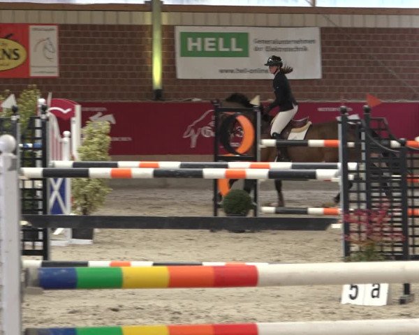 Reitturnier Kaldenkirchen - Gestüt Seehof 2022