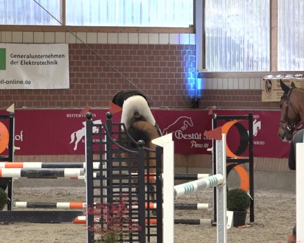 Reitturnier Kaldenkirchen - Gestüt Seehof 2022