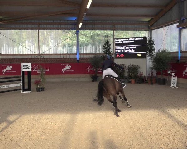 Reitturnier Kaldenkirchen - Gestüt Seehof 2022