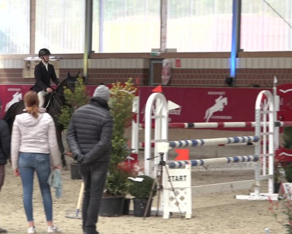 Reitturnier Kaldenkirchen - Gestüt Seehof 2022