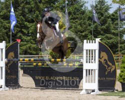 jumper Double B (KWPN (Royal Dutch Sporthorse), 2008, from Wittinger)