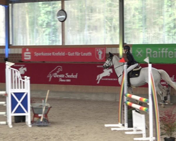 Reitturnier Kaldenkirchen - Gestüt Seehof 2022