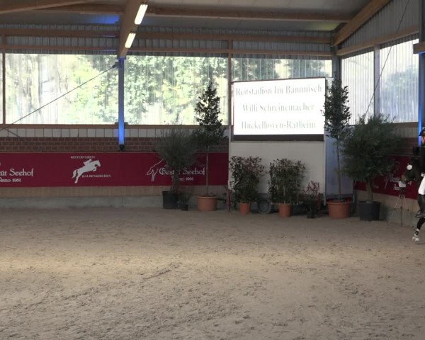 Reitturnier Kaldenkirchen - Gestüt Seehof 2022