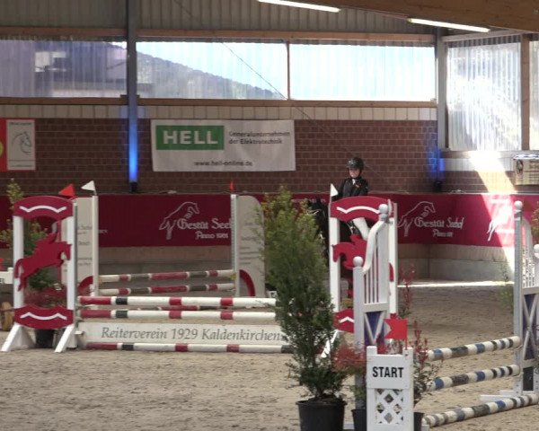 Reitturnier Kaldenkirchen - Gestüt Seehof 2022