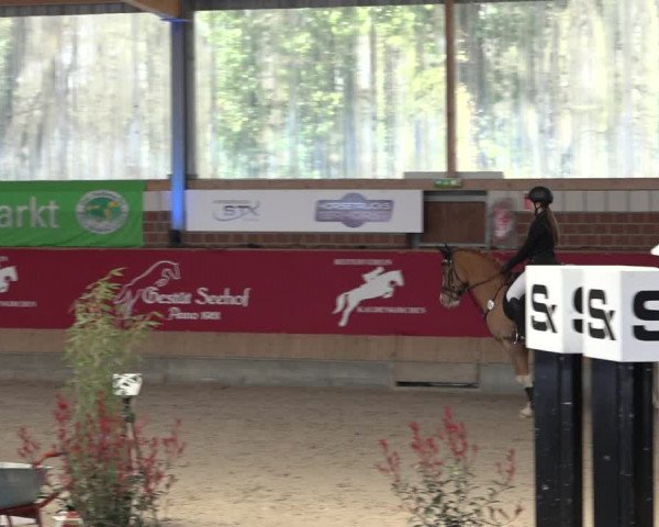 Reitturnier Kaldenkirchen - Gestüt Seehof 2022