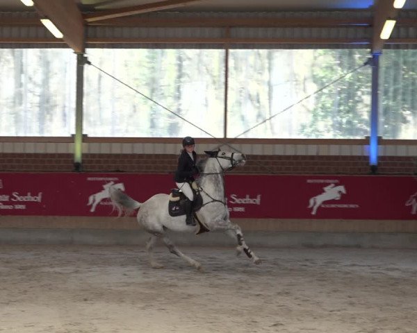 Reitturnier Kaldenkirchen - Gestüt Seehof 2022