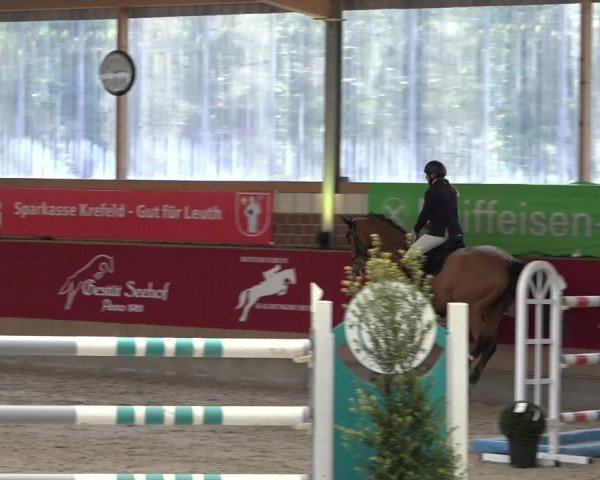 Reitturnier Kaldenkirchen - Gestüt Seehof 2022