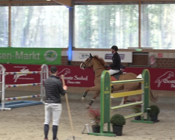 Reitturnier Kaldenkirchen - Gestüt Seehof 2022