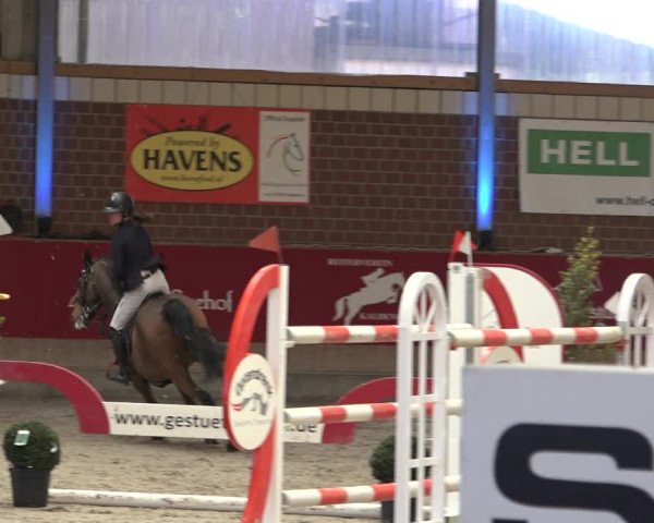 Reitturnier Kaldenkirchen - Gestüt Seehof 2022
