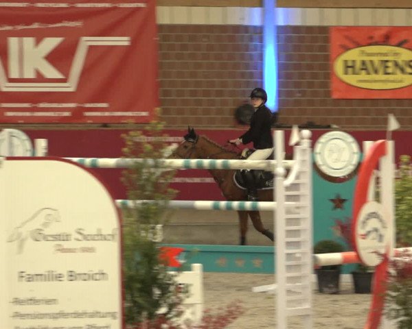 Reitturnier Kaldenkirchen - Gestüt Seehof 2022
