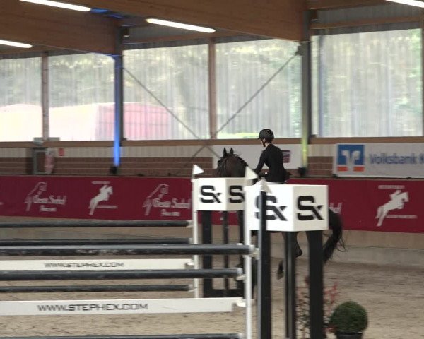 Reitturnier Kaldenkirchen - Gestüt Seehof 2022