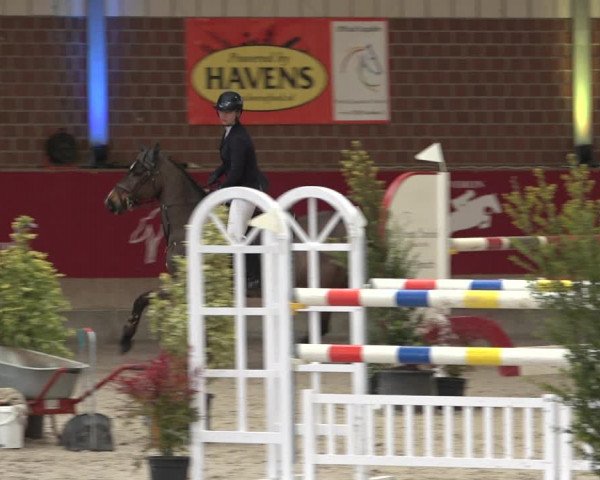 Reitturnier Kaldenkirchen - Gestüt Seehof 2022