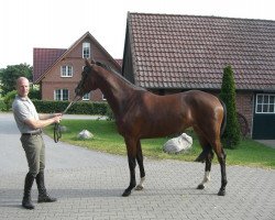 broodmare Cap de Pera-U (Westphalian, 2010, from Captain Fire)