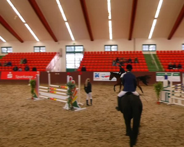 Reitturnier Redefin 2022