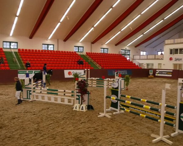 Reitturnier Redefin 2022