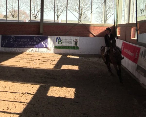 Reitturnier Greven 2022